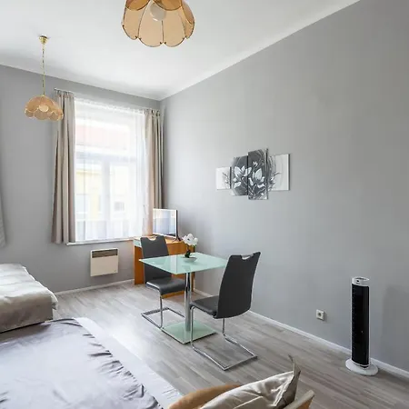 Apartment City Sazavska *